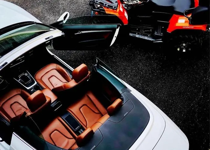 Appartement Springer